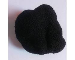 buy frozen black truffles. truffle melanosporum. price. gourmet. high quality cuisine